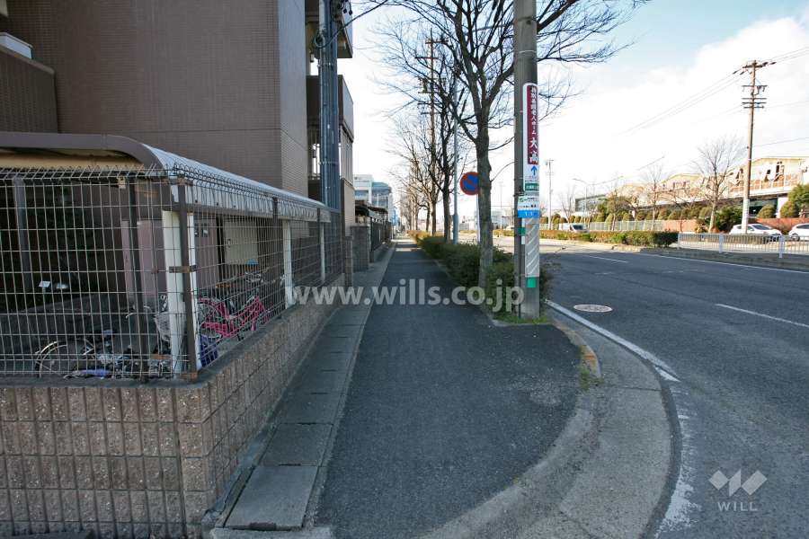 敷地北西側の前面道路(北東側から)
