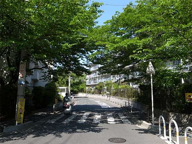千里山田コーポラスC棟の南側の通り。街路樹がキレイです。