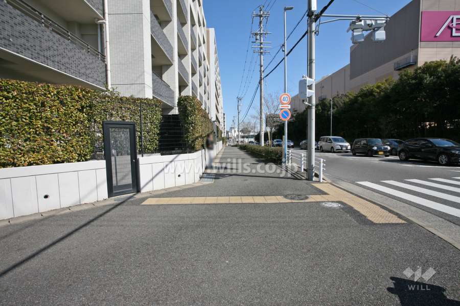 敷地南側の前面道路（西側から）