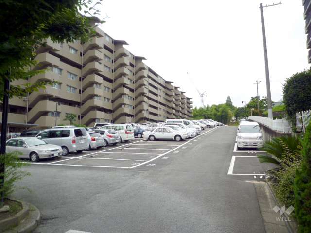 敷地内駐車場（平面式）