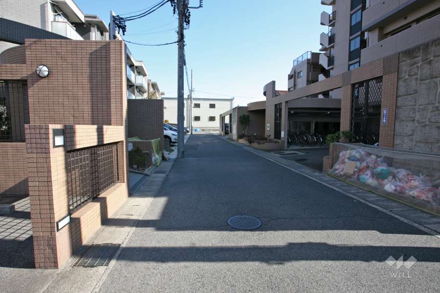 敷地北側の前面道路（西側から）