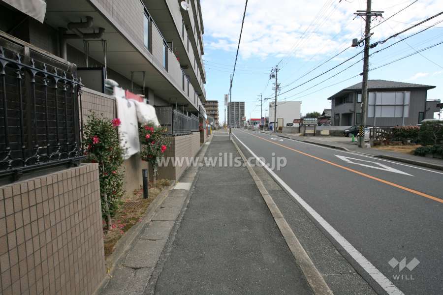 敷地南側の前面道路（西側から）