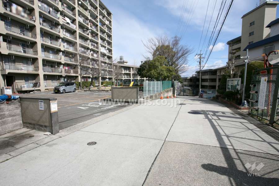 敷地南東側の前面道路（南西側から）