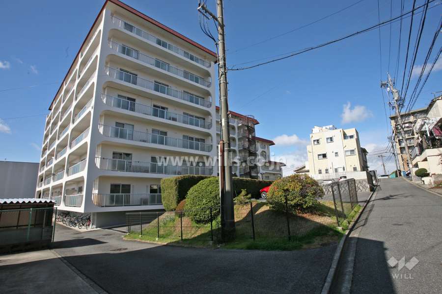 敷地北東側の前面道路