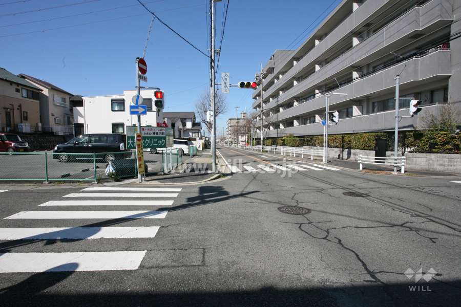敷地南側の前面道路(東側から)