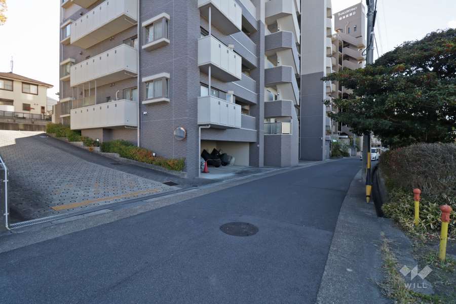 駐車場出入口と敷地北側の前面道路