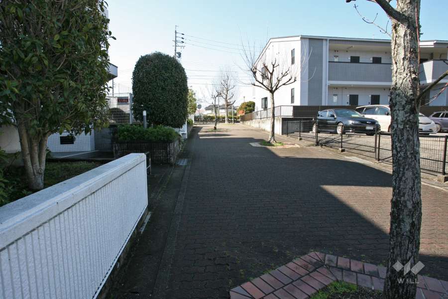 敷地北側の前面道路（東側から）