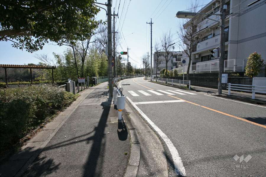 敷地東側の前面道路（北側から）