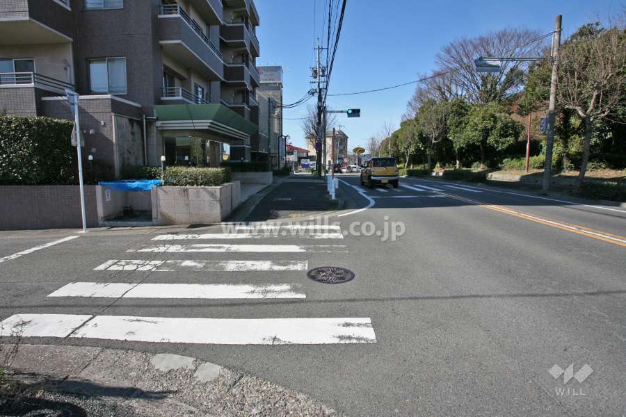 敷地北西側の前面道路(北東側から)