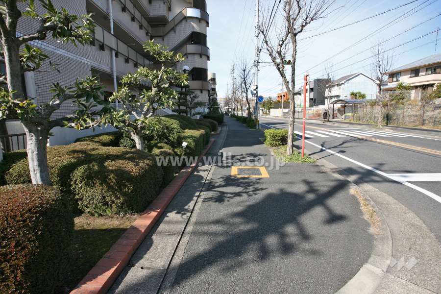 敷地北側の前面道路(東側から)