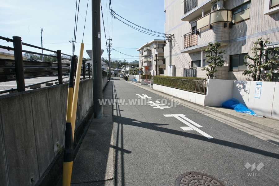敷地東側の前面道路(北側から)