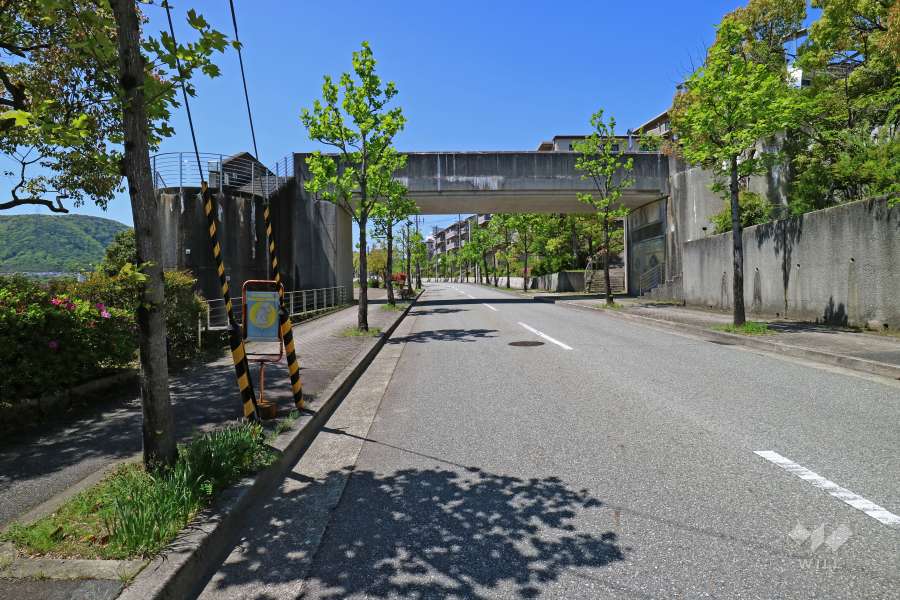 敷地北側の前面道路（東側から）