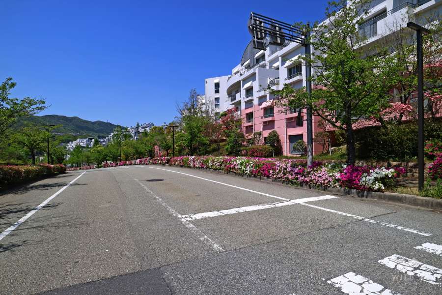 敷地南東側の前面道路（北東側から）