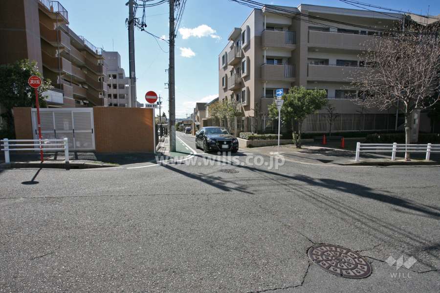 敷地南東側の前面道路(北東側から)