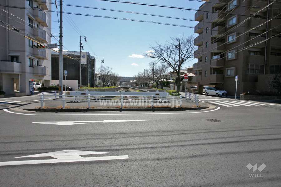敷地東側の前面道路(北側から)