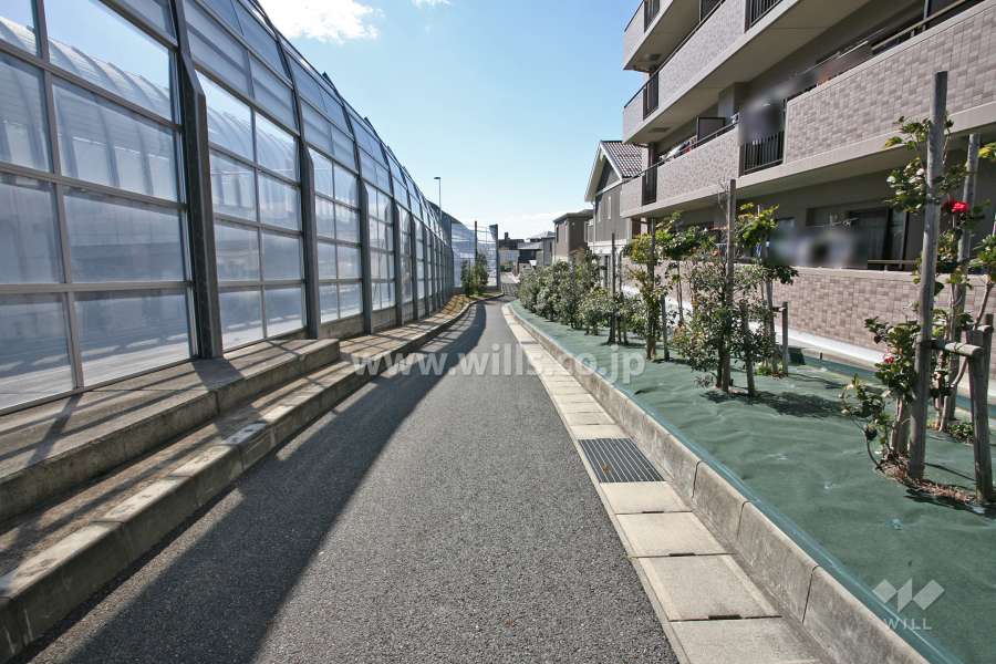 敷地南東側の前面道路