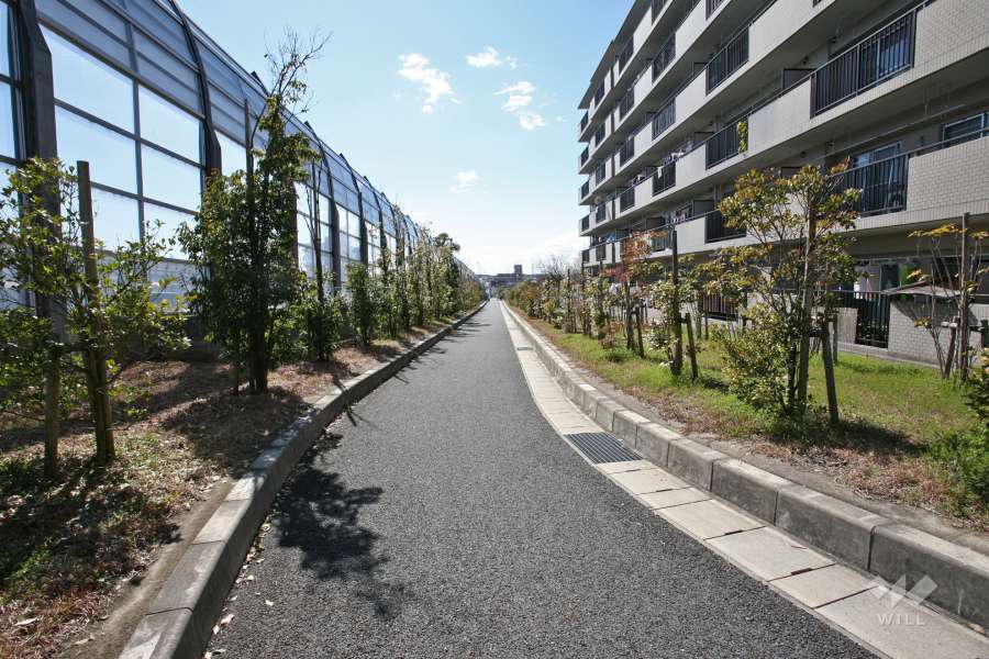 敷地南東側の前面道路（北東側から）