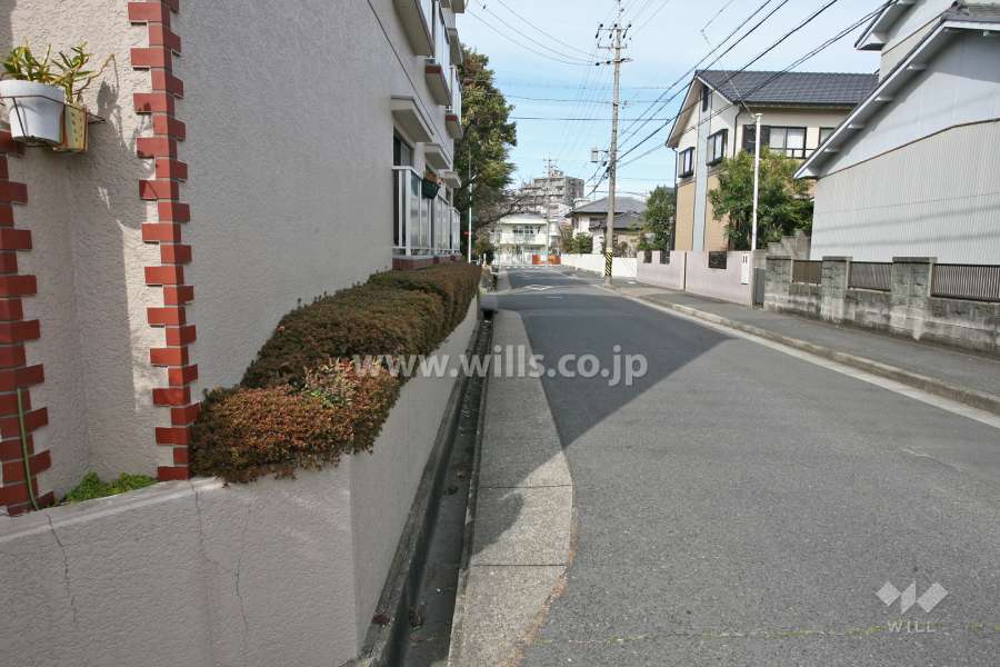 敷地東側の前面道路