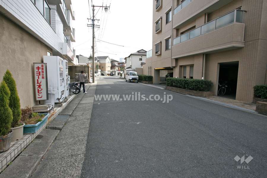 敷地北東側の前面道路