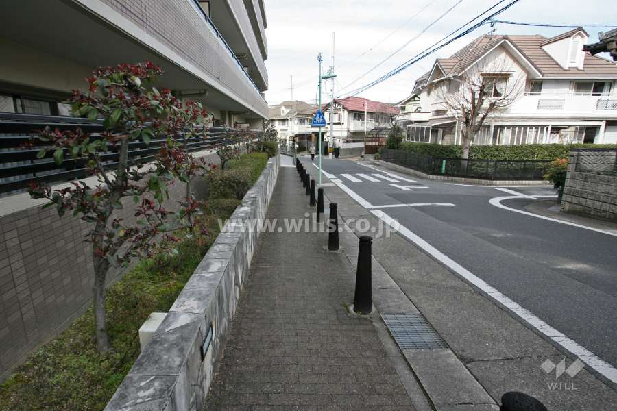 敷地東側の前面道路(南側から)