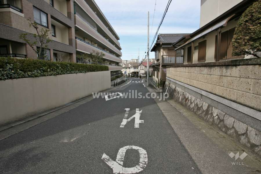 敷地東側の前面道路(南側から)
