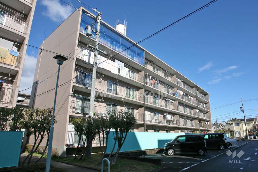 桃山住宅13号棟の外観(南東側から)