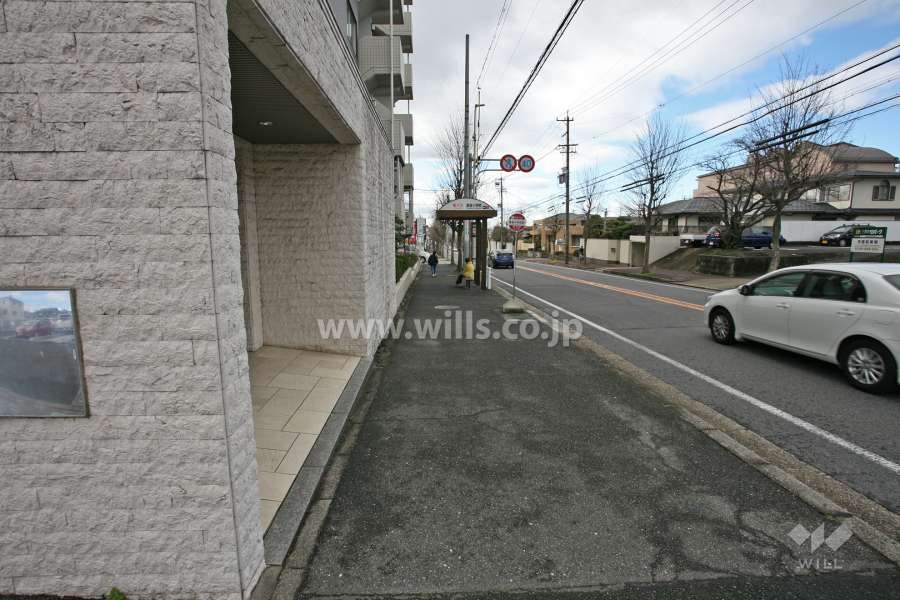 敷地前面道路