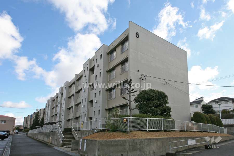 桃山住宅8号棟の外観(西側から)