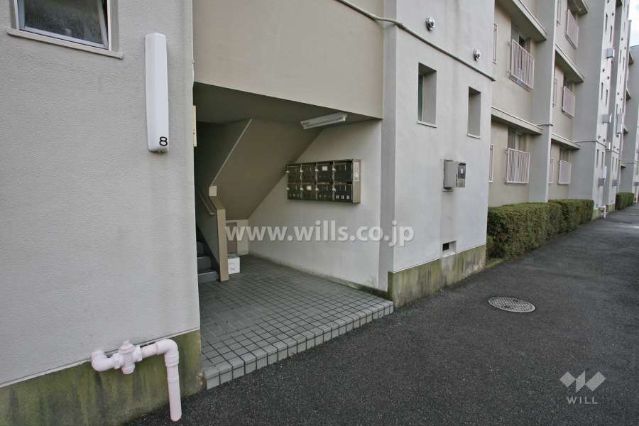 エントランスアプローチ