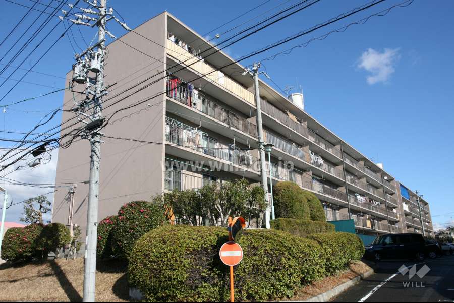 桃山住宅12号棟の外観(南西側から)