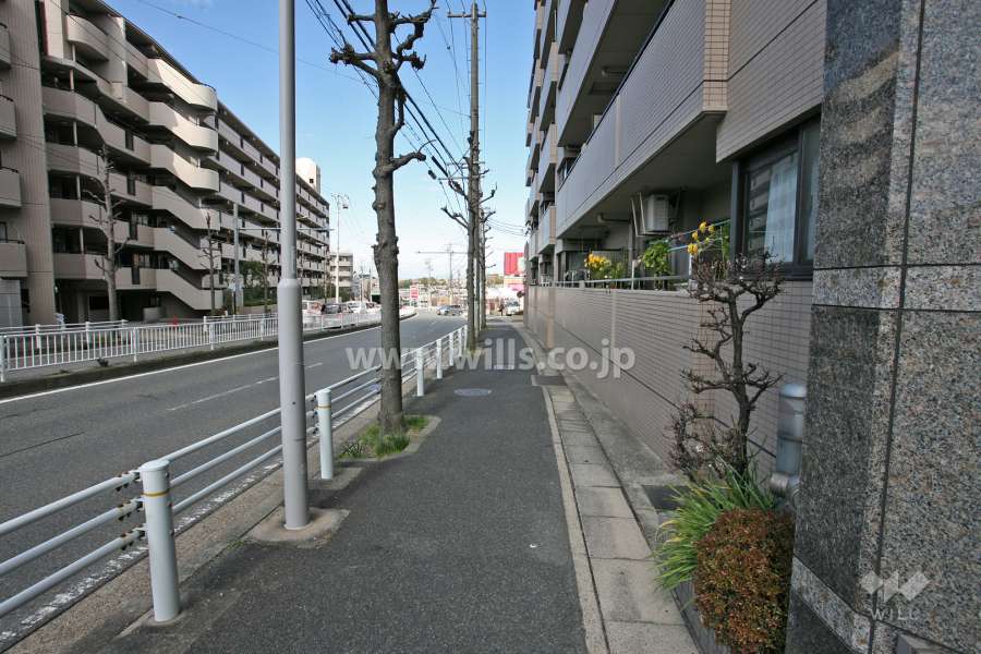 敷地前面道路