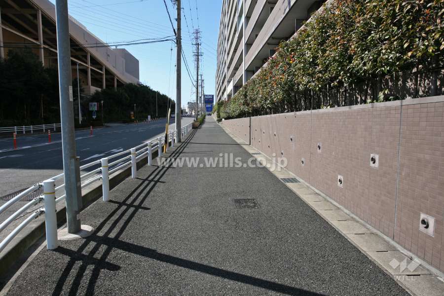 敷地南側の前面道路（東側から）