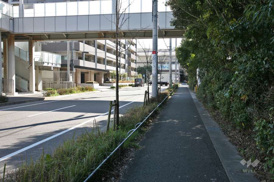 敷地西側の前面道路(北側から)