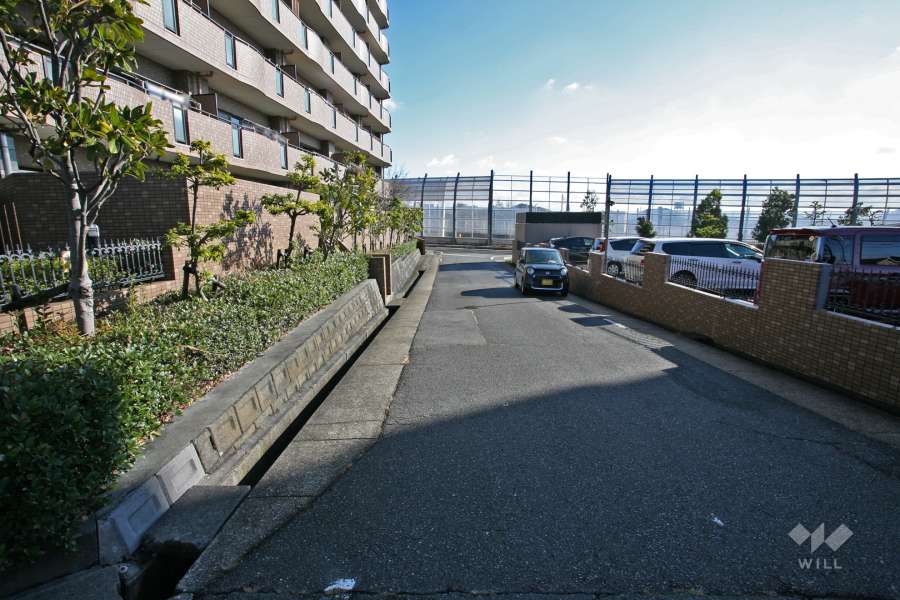敷地北側の前面道路(東側から)