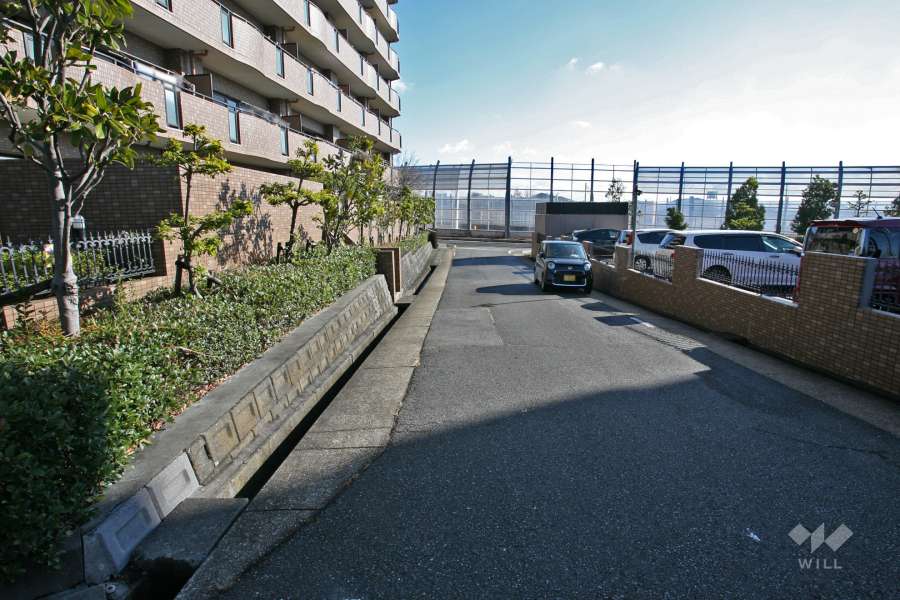 敷地南側の前面道路(西側から)