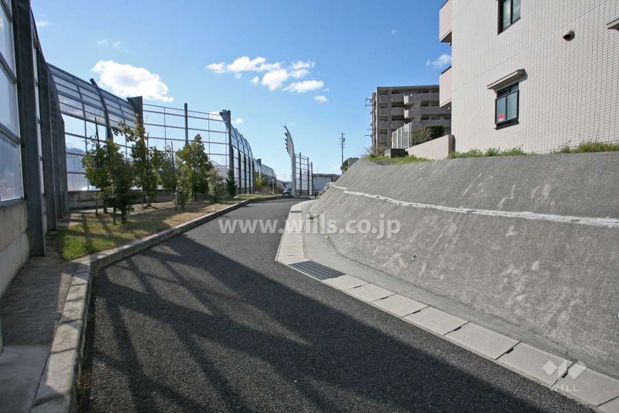 敷地東側の前面道路