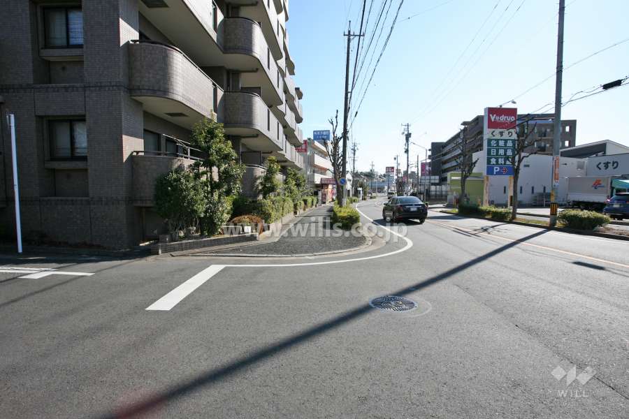 敷地南側の前面道路（西側から）