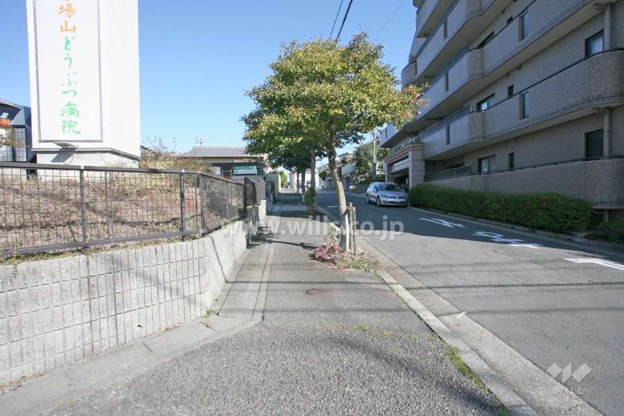 敷地西側の前面道路（南側から）