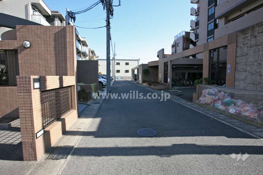 敷地南側の前面道路（西側から）