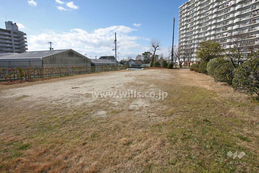 敷地内広場