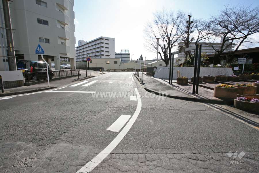 敷地南東側の前面道路(北東側から)