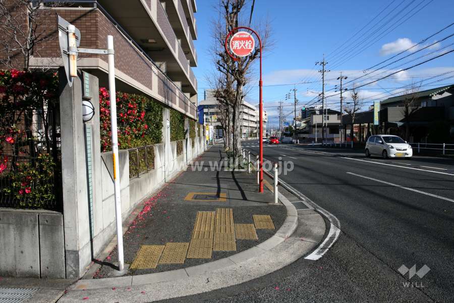 敷地南側の前面道路（西側から）