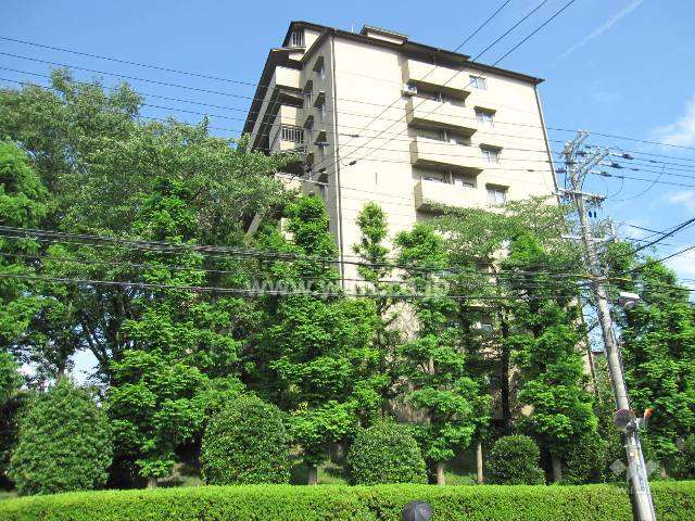 メゾン千里丘3番街I棟の外観(西から)