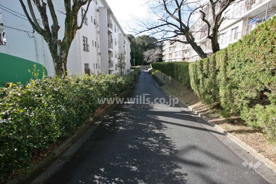 敷地北側の前面道路(東側から)