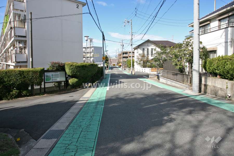 敷地北東側の道路(南東側から)