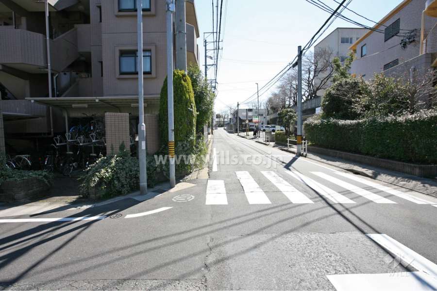 敷地南西側の前面道路（北西側から）