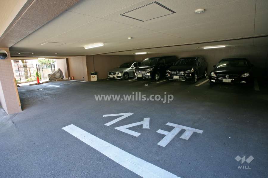 敷地内駐車場（自走式）