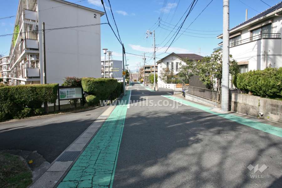 敷地北東側の前面道路(南東側から)