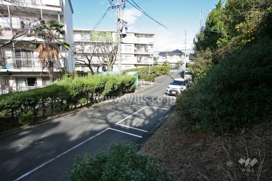 敷地南東側の前面道路(南側から)
