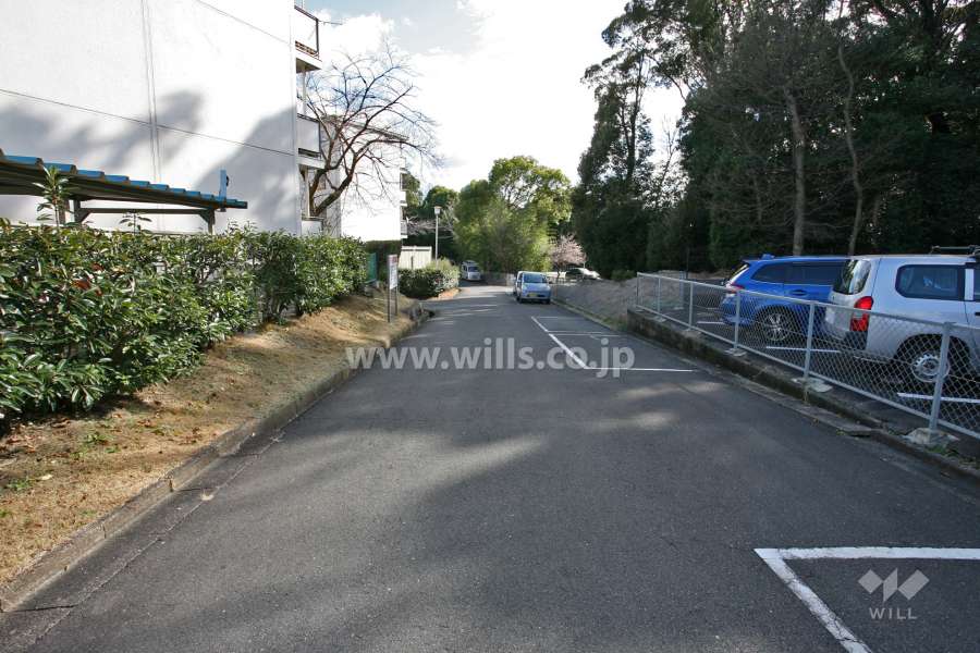 敷地西側の前面道路(北側から)